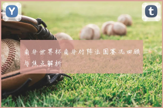 南非世界杯南非对阵法国赛况回顾与焦点解析