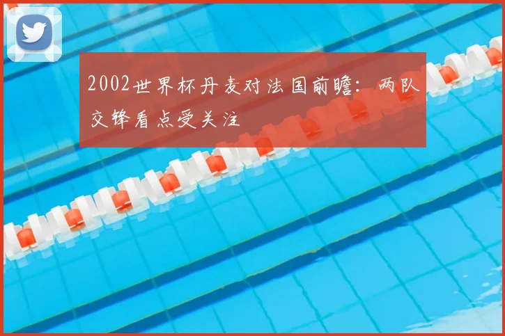 2002世界杯丹麦对法国前瞻：两队交锋看点受关注